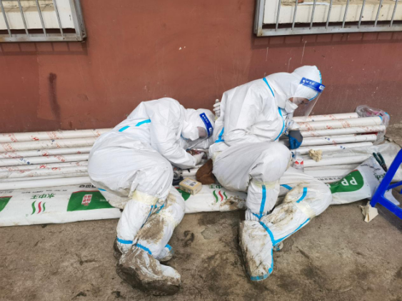 海洋之神·hy590(中国)最新官方网站